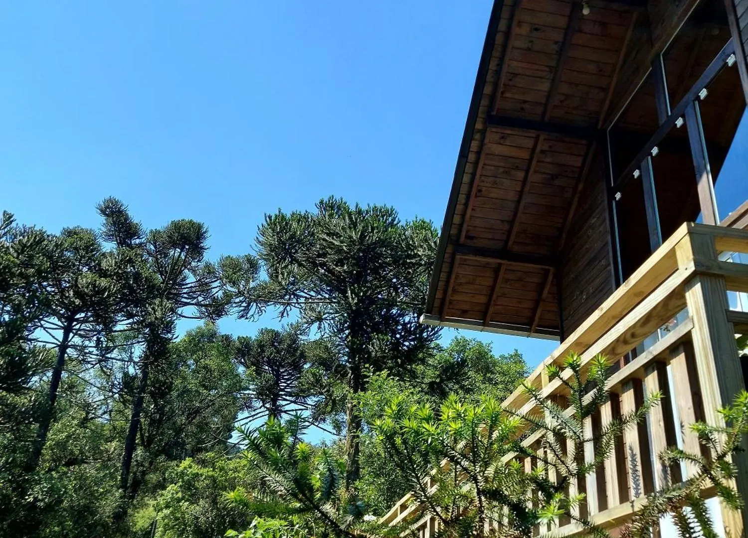 Recanto Das Araucarias Urubici Brazil