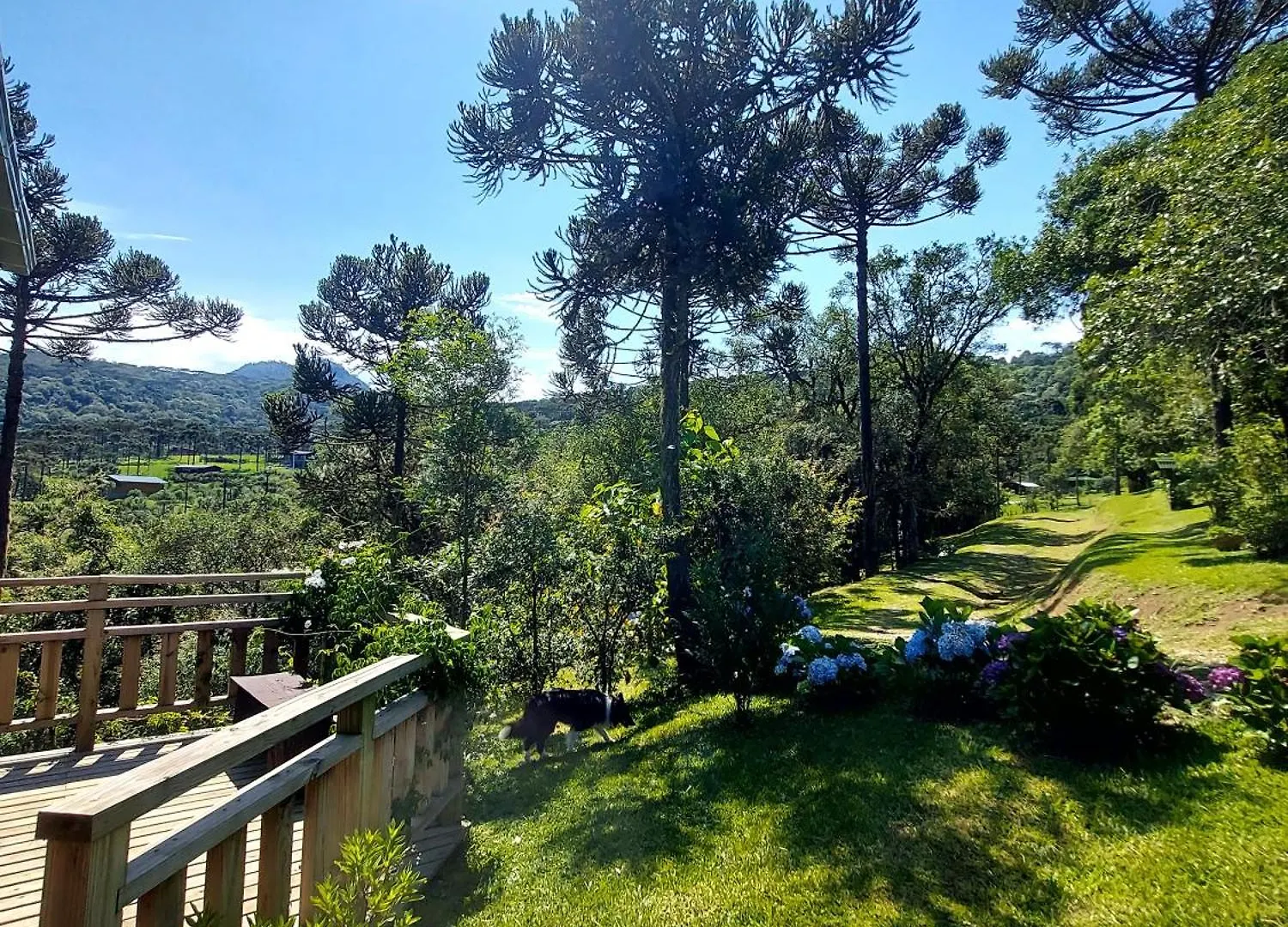 Recanto Das Araucarias Urubici